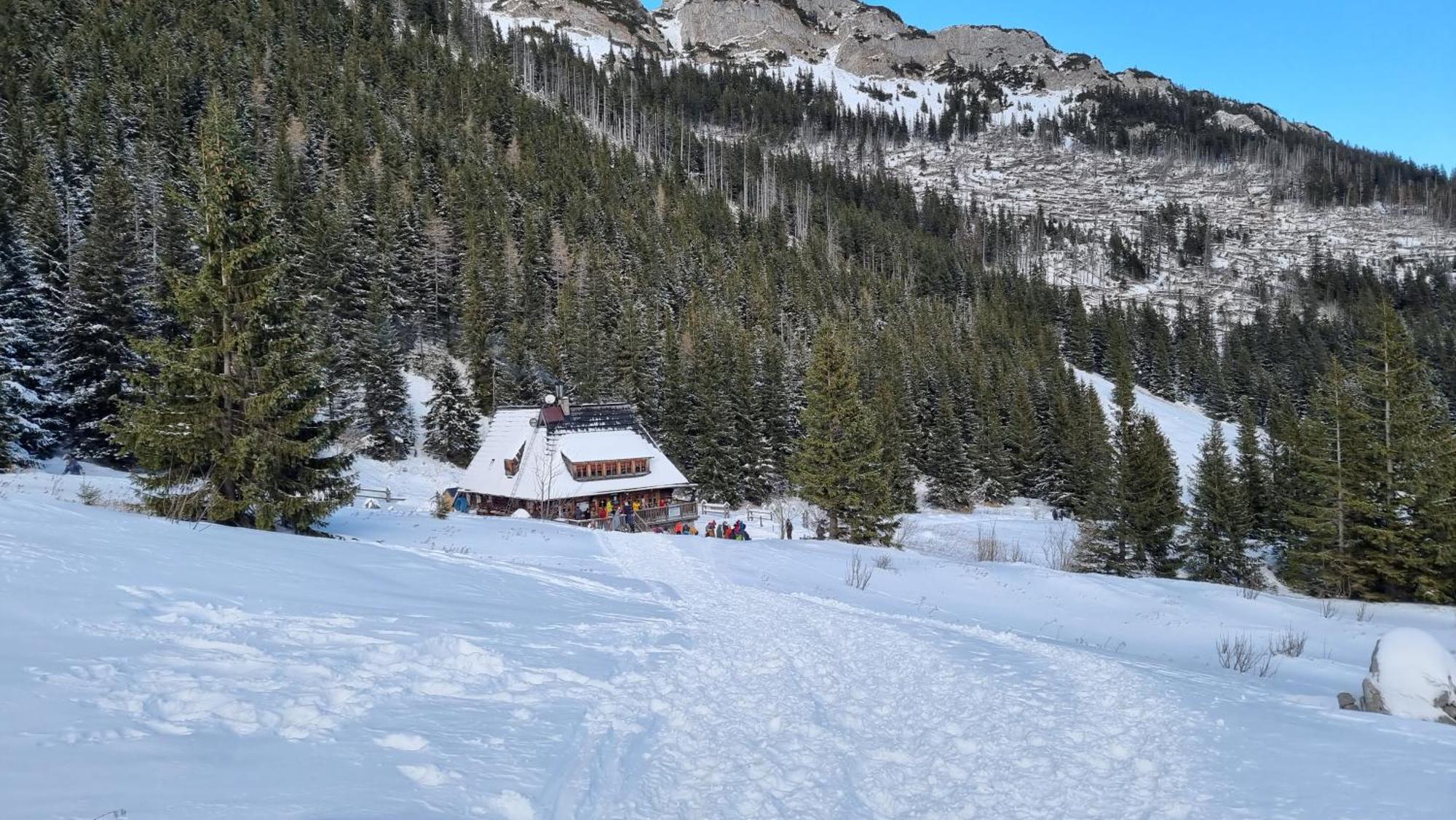 Bukowina Tatrzanska -Czarna Gora- Black Apart- Widok Na Tatry, Jacuzzi, Bilard, Game Room 布库维纳塔然斯卡 外观 照片